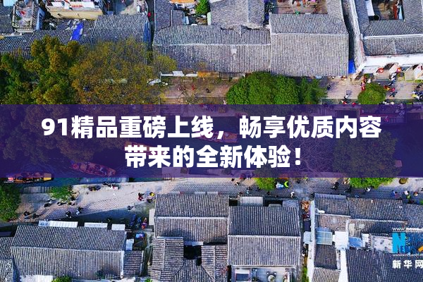91精品重磅上线，畅享优质内容带来的全新体验！