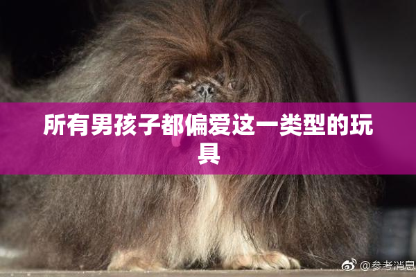 所有男孩子都偏爱这一类型的玩具