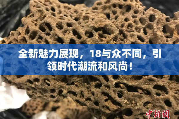全新魅力展现，18与众不同，引领时代潮流和风尚！