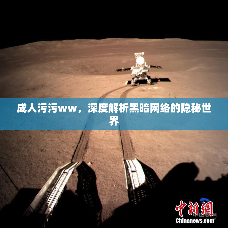 成人污污ww，深度解析黑暗网络的隐秘世界