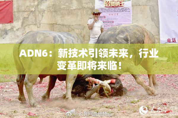 ADN6：新技术引领未来，行业变革即将来临！