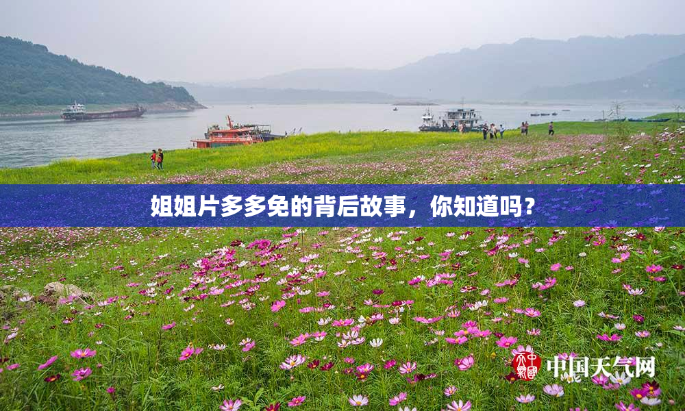 姐姐片多多免的背后故事，你知道吗？