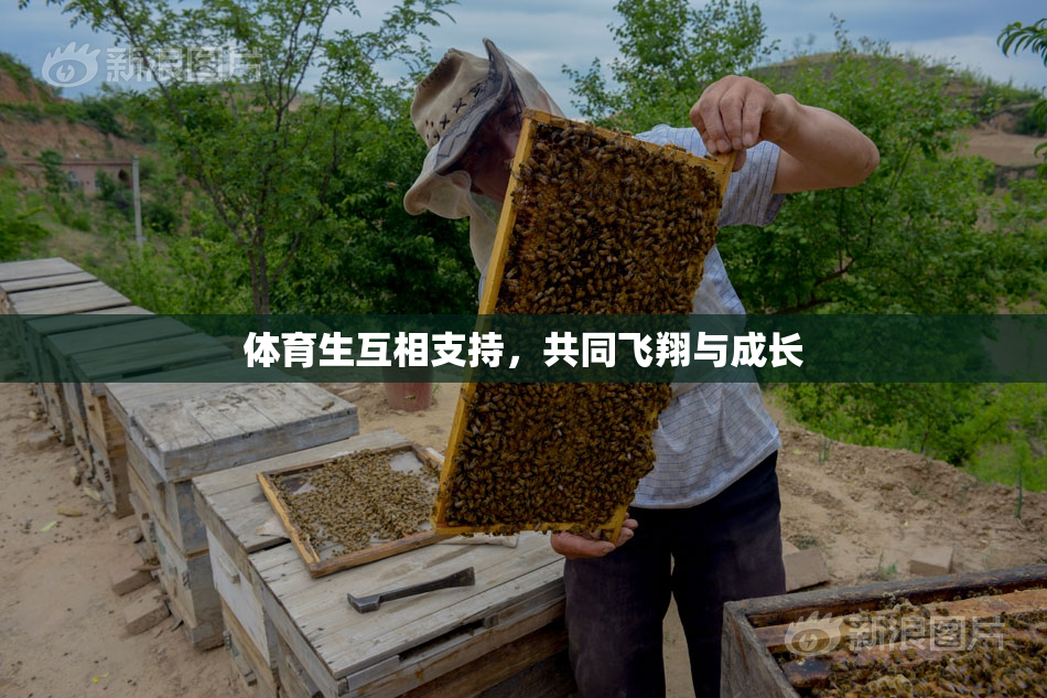 体育生互相支持，共同飞翔与成长