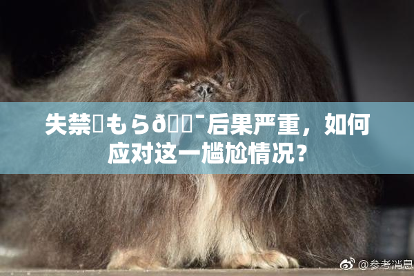 失禁✿もら🔯后果严重，如何应对这一尴尬情况？