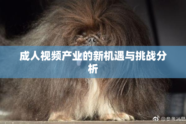 成人视频产业的新机遇与挑战分析