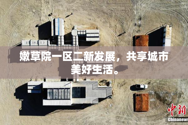 嫩草院一区二新发展，共享城市美好生活。