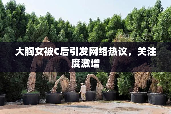 大胸女被C后引发网络热议，关注度激增
