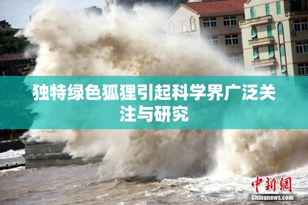 独特绿色狐狸引起科学界广泛关注与研究