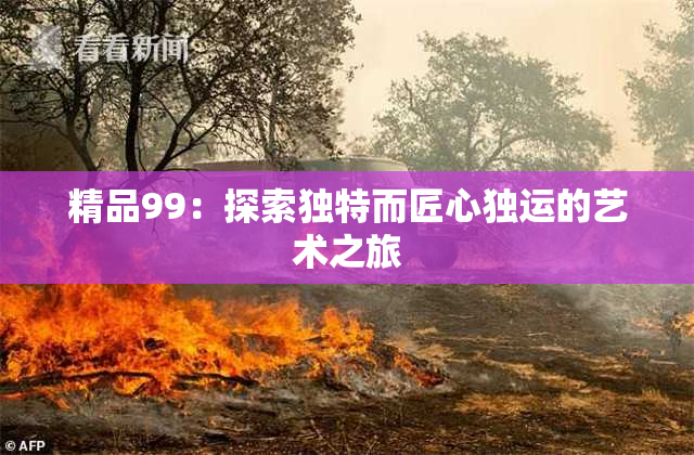 精品99：探索独特而匠心独运的艺术之旅