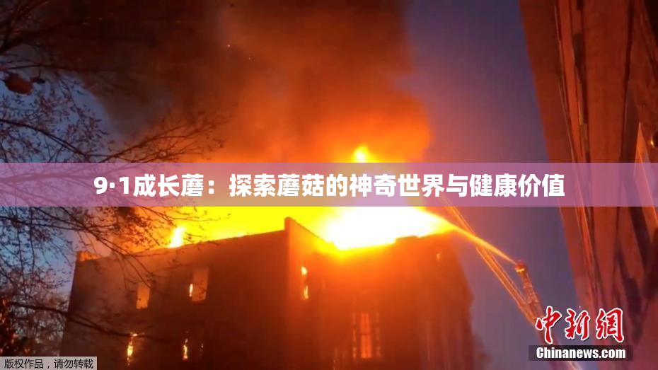 9·1成长蘑：探索蘑菇的神奇世界与健康价值