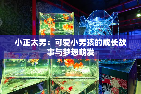 小正太男：可爱小男孩的成长故事与梦想萌发