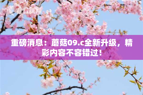 重磅消息：蘑菇09.c全新升级，精彩内容不容错过！