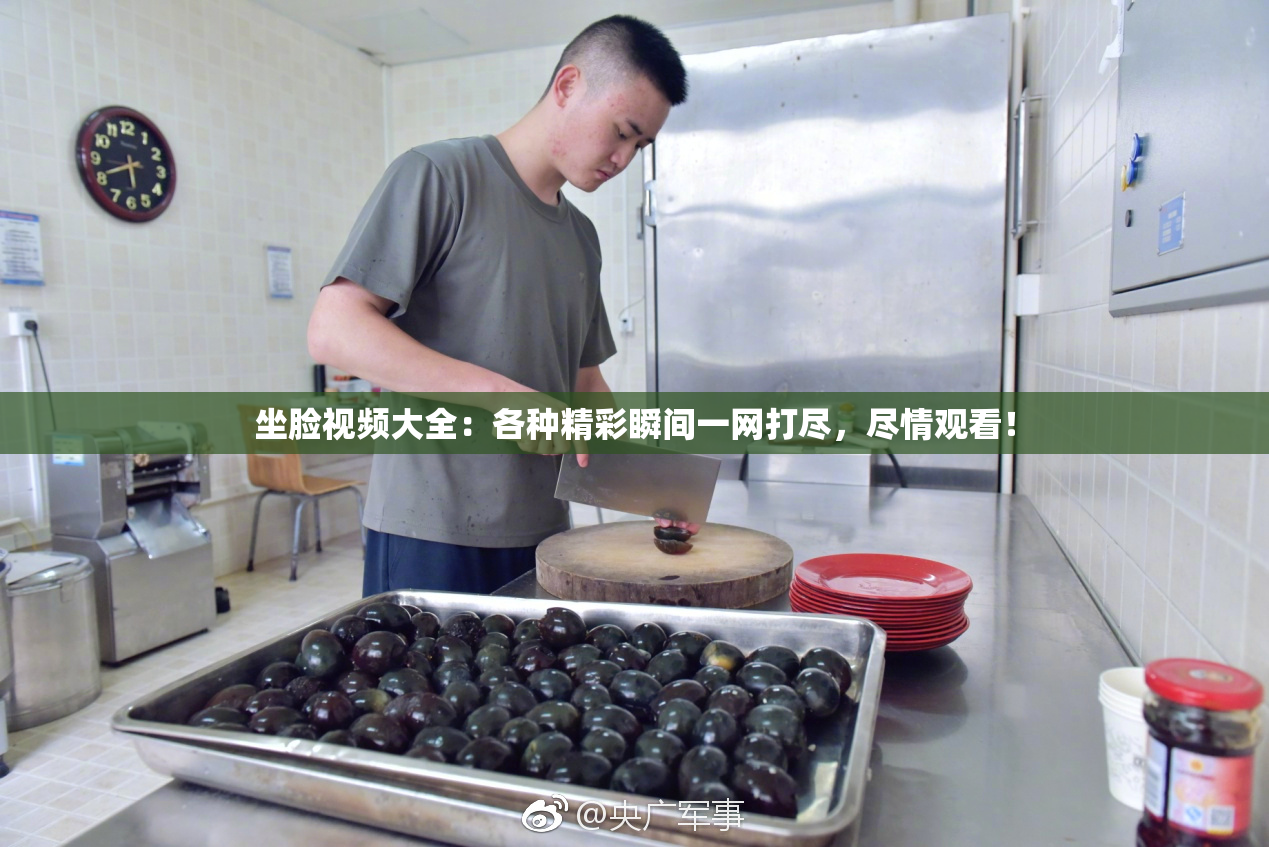 坐脸视频大全：各种精彩瞬间一网打尽，尽情观看！