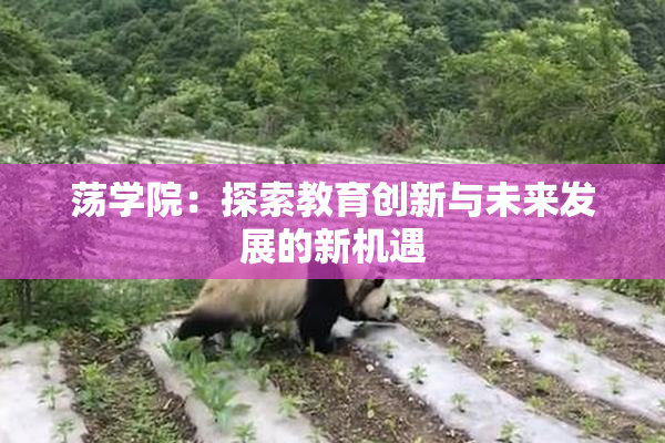 荡学院：探索教育创新与未来发展的新机遇