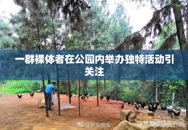 一群裸体者在公园内举办独特活动引关注
