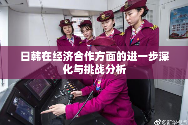 日韩在经济合作方面的进一步深化与挑战分析