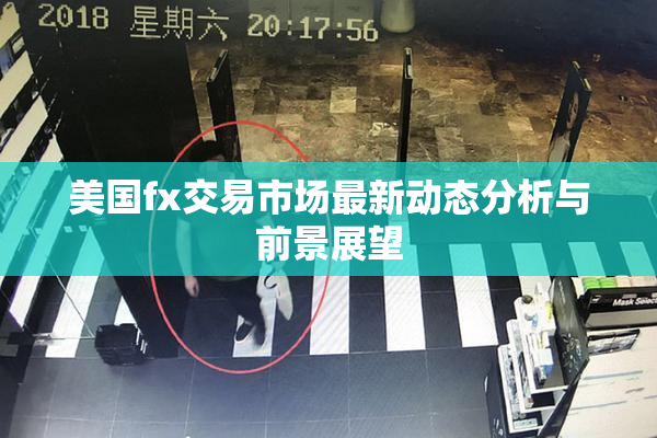 美国fx交易市场最新动态分析与前景展望