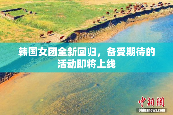 韩国女团全新回归，备受期待的活动即将上线