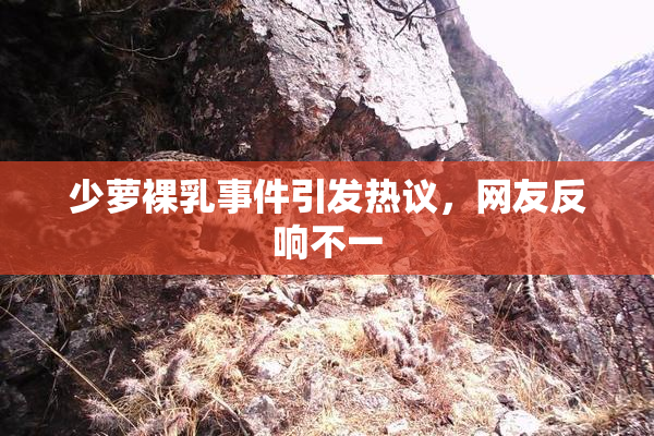少萝裸乳事件引发热议，网友反响不一
