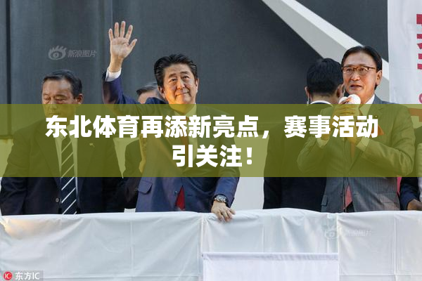 东北体育再添新亮点，赛事活动引关注！