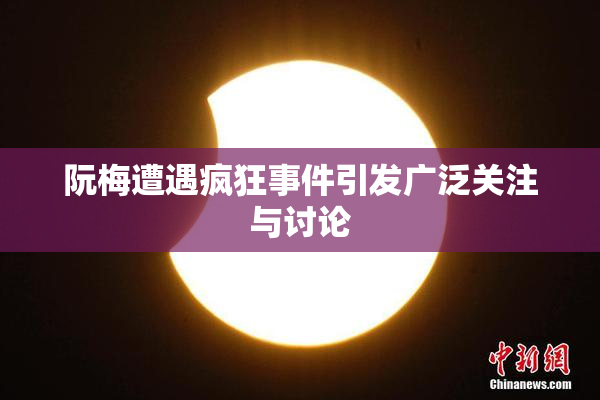 阮梅遭遇疯狂事件引发广泛关注与讨论