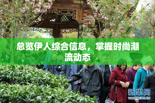 总览伊人综合信息，掌握时尚潮流动态