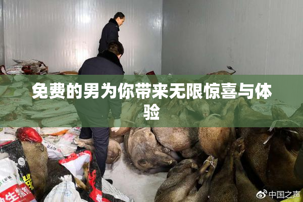 免费的男为你带来无限惊喜与体验