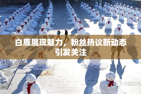 白鹿展现魅力，粉丝热议新动态引发关注
