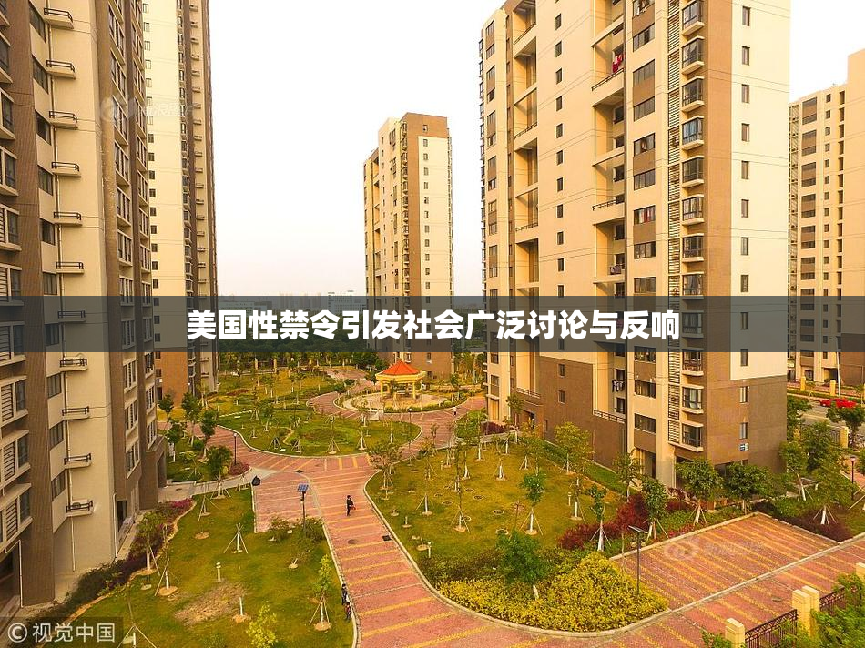 美国性禁令引发社会广泛讨论与反响