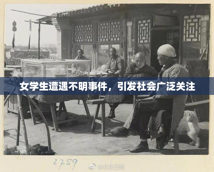 女学生遭遇不明事件，引发社会广泛关注
