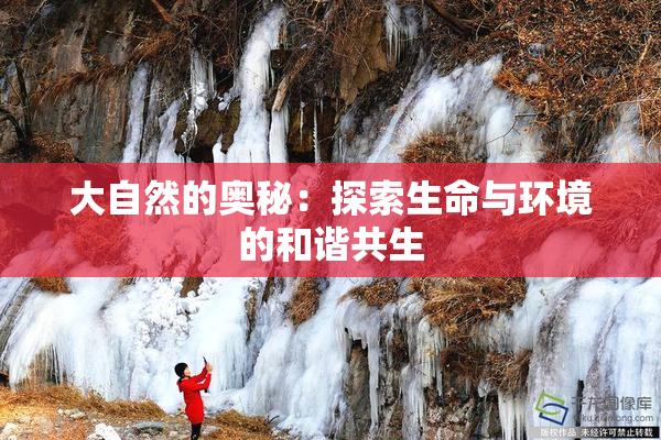 大自然的奥秘：探索生命与环境的和谐共生