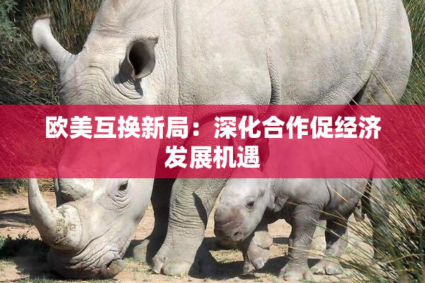 欧美互换新局：深化合作促经济发展机遇