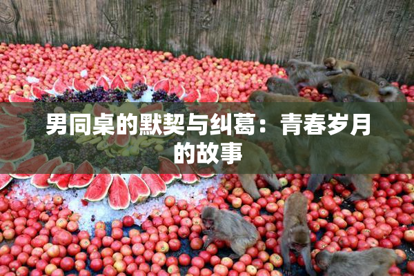 男同桌的默契与纠葛：青春岁月的故事