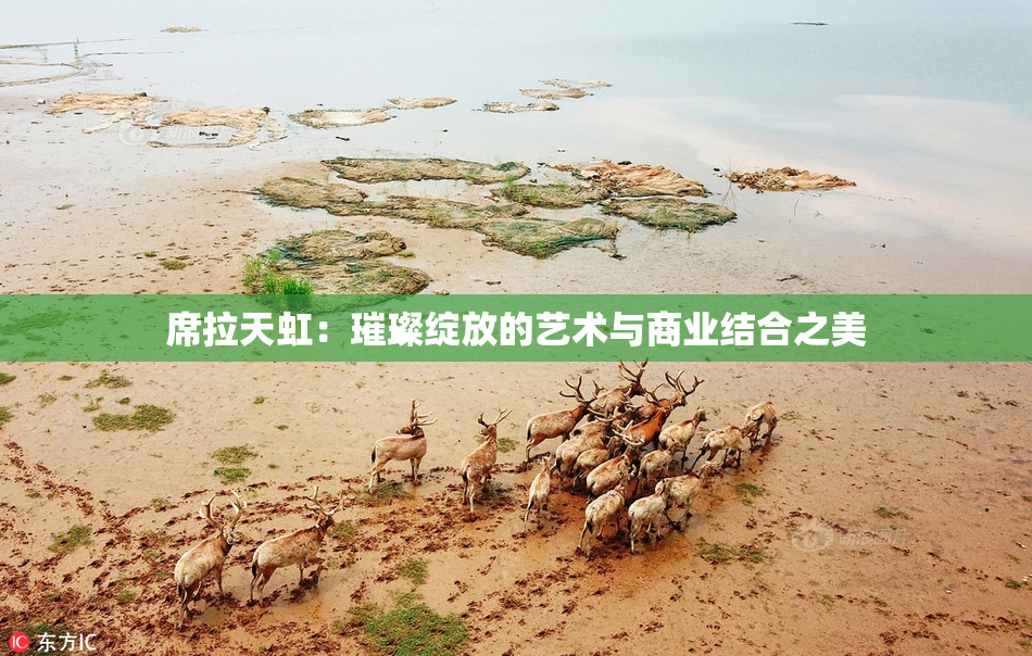 席拉天虹：璀璨绽放的艺术与商业结合之美