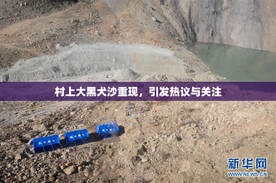 村上大黑犬沙重现，引发热议与关注