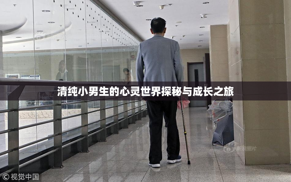 清纯小男生的心灵世界探秘与成长之旅