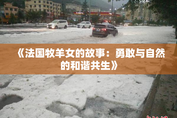 《法国牧羊女的故事：勇敢与自然的和谐共生》