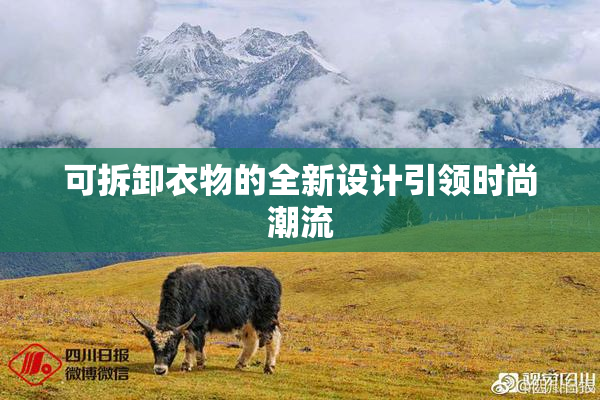 可拆卸衣物的全新设计引领时尚潮流