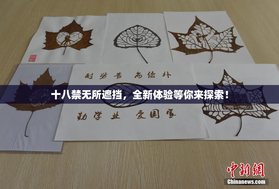 十八禁无所遮挡，全新体验等你来探索！