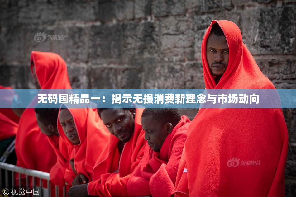 无码国精品一：揭示无损消费新理念与市场动向
