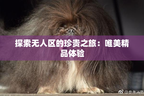 探索无人区的珍贵之旅：唯美精品体验