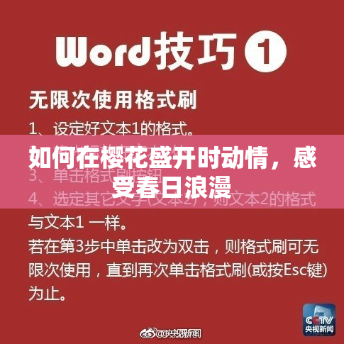 如何在樱花盛开时动情，感受春日浪漫