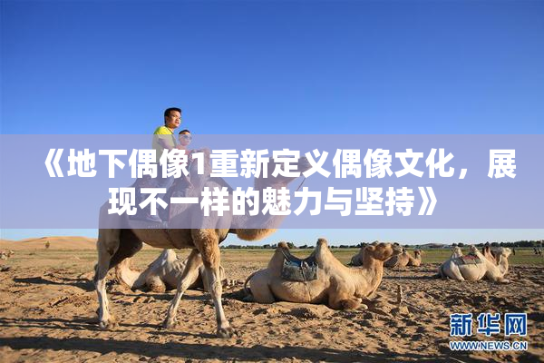 《地下偶像1重新定义偶像文化，展现不一样的魅力与坚持》