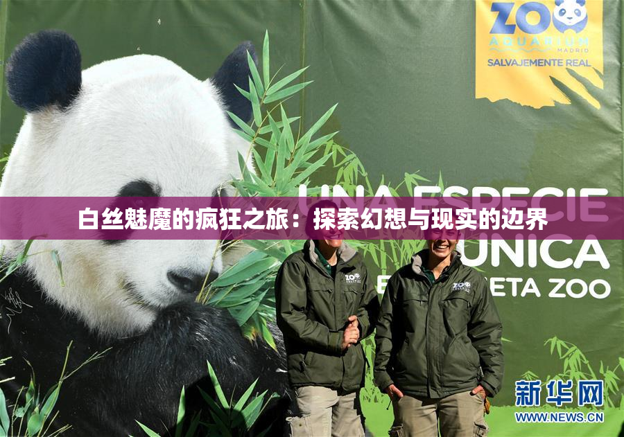 白丝魅魔的疯狂之旅：探索幻想与现实的边界