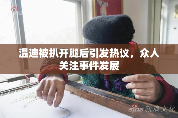 温迪被扒开腿后引发热议，众人关注事件发展