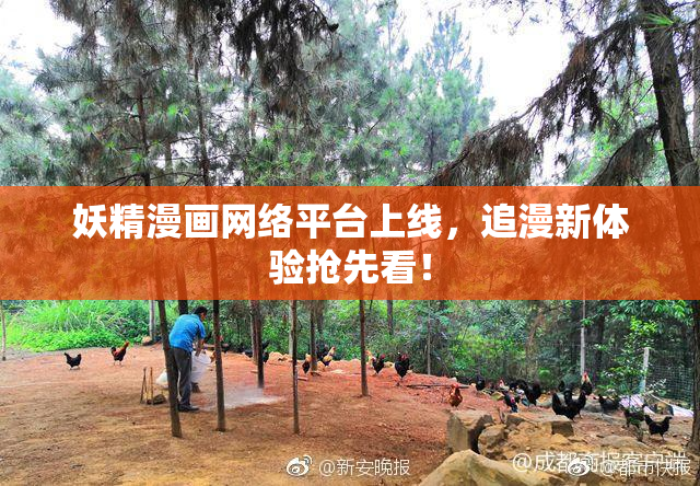 妖精漫画网络平台上线，追漫新体验抢先看！