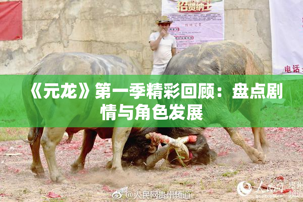 《元龙》第一季精彩回顾：盘点剧情与角色发展