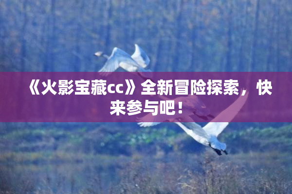 《火影宝藏cc》全新冒险探索，快来参与吧！