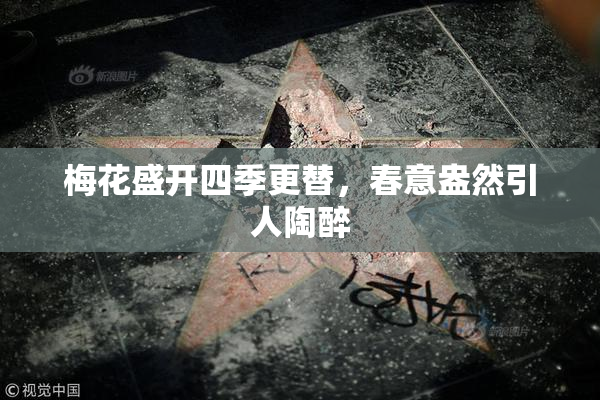 梅花盛开四季更替，春意盎然引人陶醉
