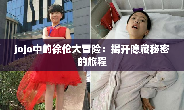 jojo中的徐伦大冒险：揭开隐藏秘密的旅程